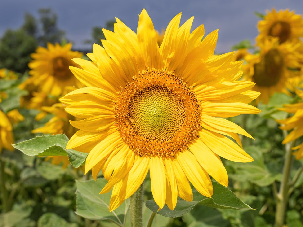 What’s Happening Right Now: News as It Breaks, Analyzed for You